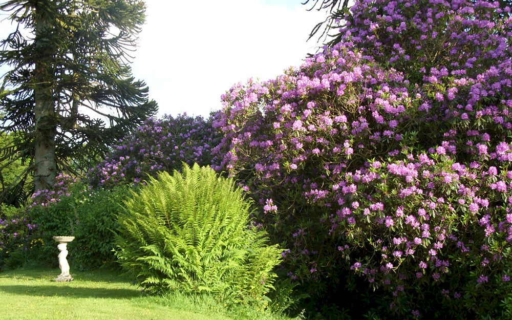 مبيت وإفطار Parracombe Moorlands المظهر الخارجي الصورة